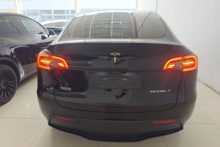 Used Tesla Model Y 2021 Standard Range Rear-Wheel Drive Version Rear