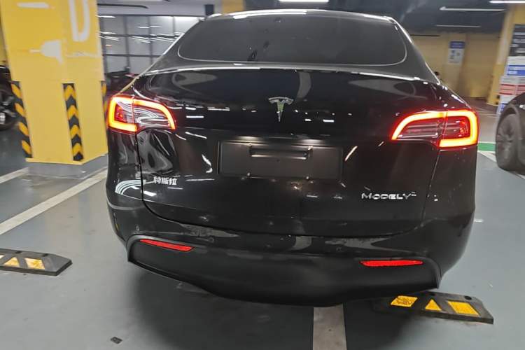 Used Tesla Model Y 2021 Standard Range Rear-Wheel Drive Version Rear