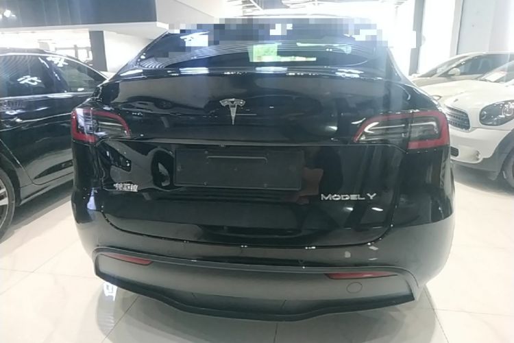 Used Tesla Model Y 2021 Standard Range Rear-Wheel Drive Version Rear