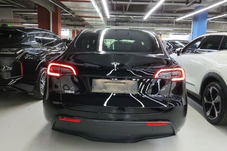 Used Tesla Model Y 2021 Standard Range Rear-Wheel Drive Version Rear