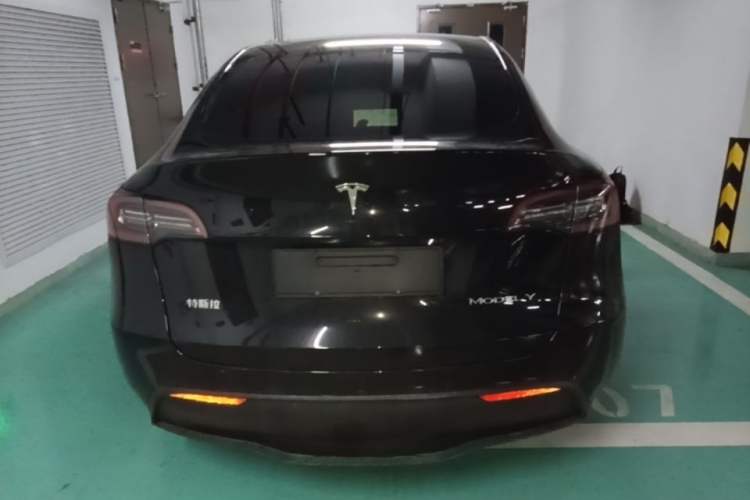 Used Tesla Model Y 2021 Standard Range Rear-Wheel Drive Version Rear