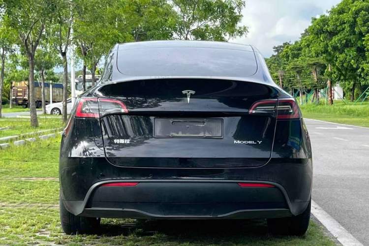 Used Tesla Model Y 2021 Standard Range Rear-Wheel Drive Version Rear