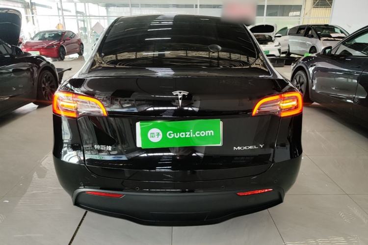 Used Tesla Model Y 2021 Standard Range Rear-Wheel Drive Version Rear