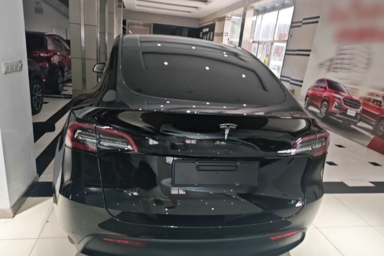Used Tesla Model Y 2021 Standard Range Rear-Wheel Drive Version Rear