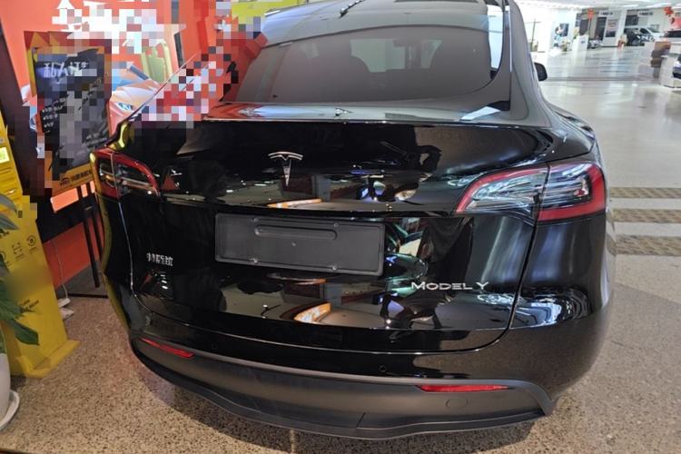 Used Tesla Model Y 2021 Standard Range Rear-Wheel Drive Version Rear