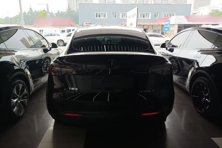 Used Tesla Model Y 2021 Standard Range Rear-Wheel Drive Version Rear