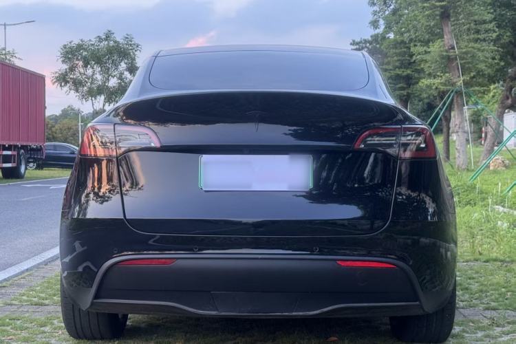 Used Tesla Model Y 2021 Standard Range Rear-Wheel Drive Version Rear