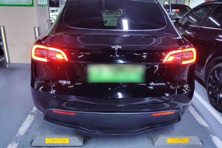 Used Tesla Model Y 2021 Standard Range Rear-Wheel Drive Version Rear