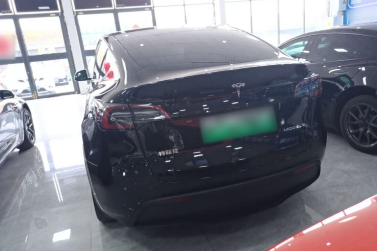 Used Tesla Model Y 2021 Standard Range Rear-Wheel Drive Version Rear