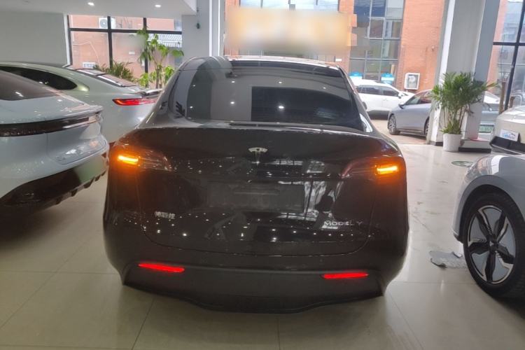Used Tesla Model Y 2021 Standard Range Rear-Wheel Drive Version Rear