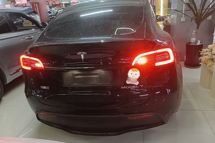 Used Tesla Model Y 2021 Standard Range Rear-Wheel Drive Version Rear