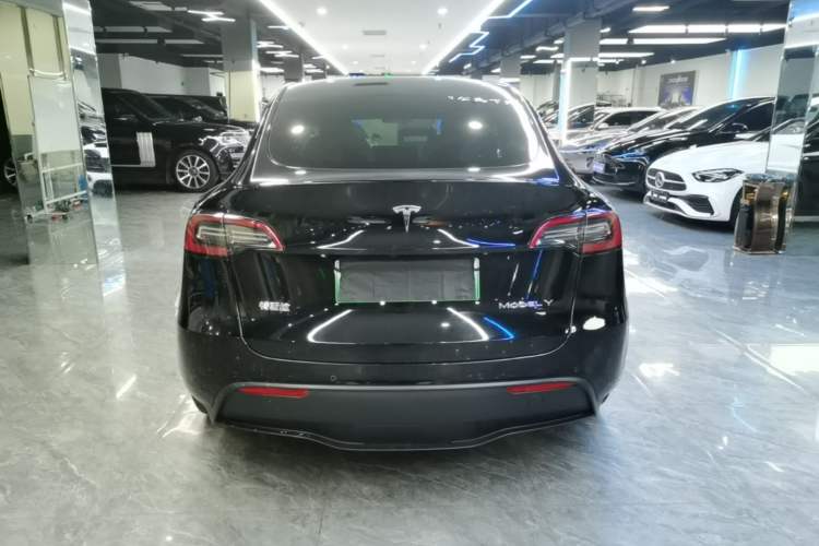 Used Tesla Model Y 2021 Standard Range Rear-Wheel Drive Version Rear