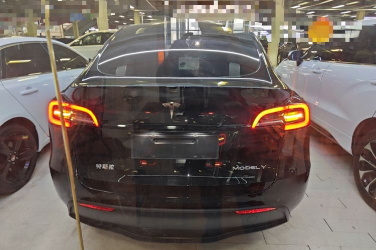 Used Tesla Model Y 2021 Standard Range Rear-Wheel Drive Version Rear