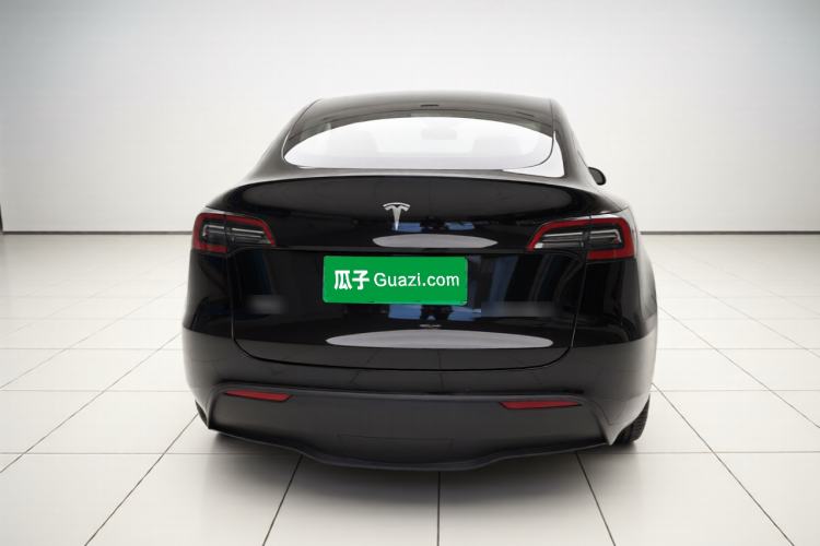 Used Tesla Model Y 2021 Standard Range Rear-Wheel Drive Version Rear