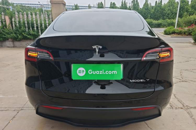 Used Tesla Model Y 2021 Standard Range Rear-Wheel Drive Version Rear