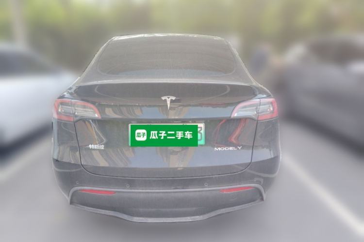 Used Tesla Model Y 2021 Standard Range Rear-Wheel Drive Version Rear