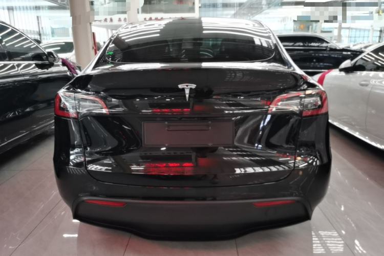 Used Tesla Model Y 2021 Standard Range Rear-Wheel Drive Version Rear