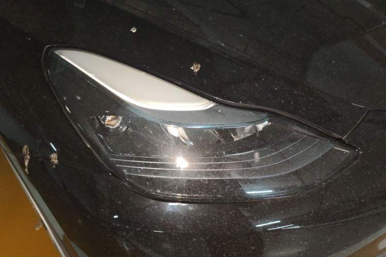 Used Tesla Model Y 2021 Standard Range Rear-Wheel Drive Version
