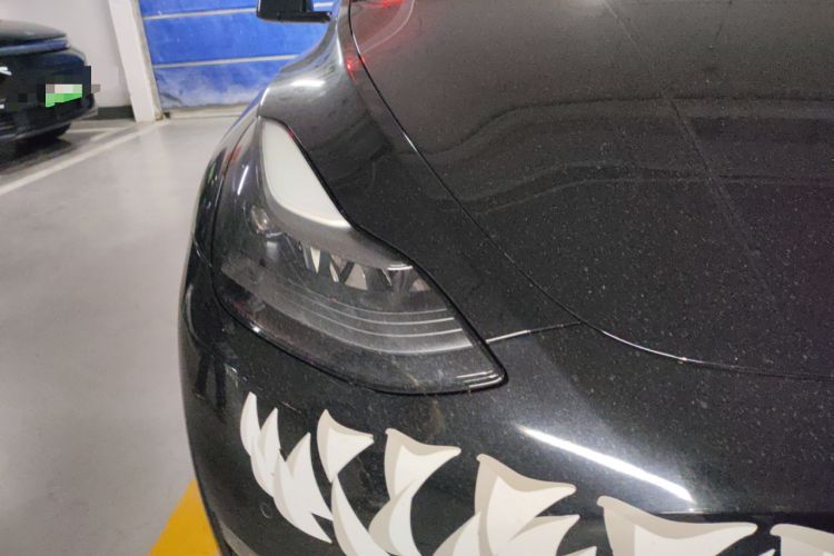 Used Tesla Model Y 2021 Performance High-Performance All-Wheel-Drive Version Right Front Headlight