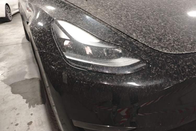 Used Tesla Model Y 2021 Standard Range Rear-Wheel Drive Version Right Front Headlight