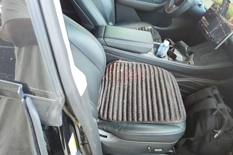 Used Tesla Model Y 2021 Standard Range Rear-Wheel Drive Version Right Front Seat