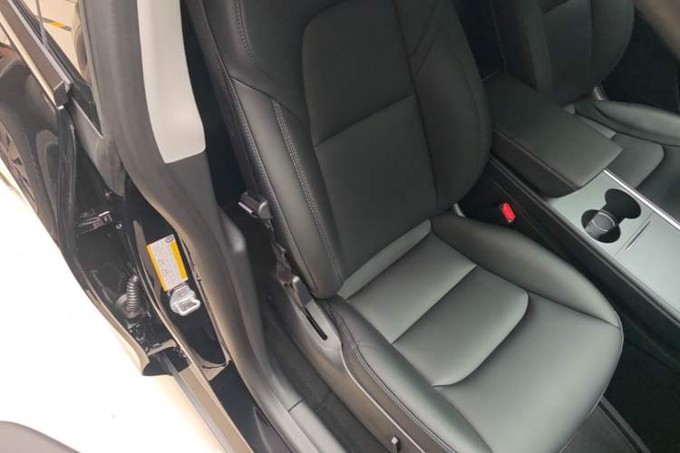 Used Tesla Model Y 2021 Standard Range Rear-Wheel Drive Version Right Front Seat