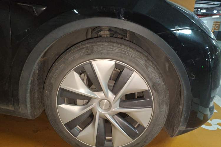 Used Tesla Model Y 2021 Standard Range Rear-Wheel Drive Version
