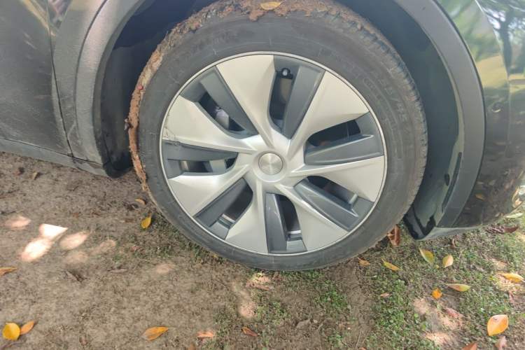 Used Tesla Model Y 2021 Standard Range Rear-Wheel Drive Version Right Front Wheel Hub