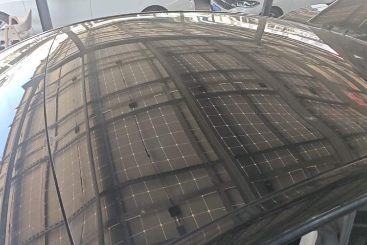 Used Tesla Model Y 2021 Standard Range Rear-Wheel Drive Version Roof