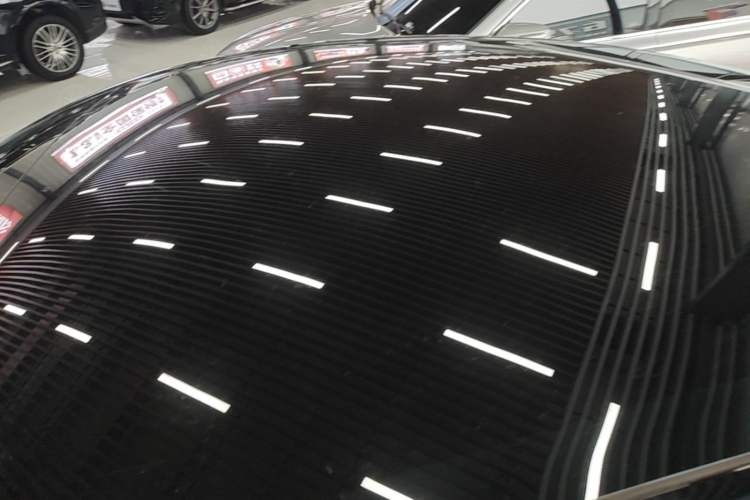 Used Tesla Model Y 2021 Standard Range Rear-Wheel Drive Version Roof