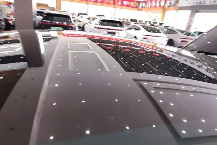 Used Tesla Model Y 2021 Standard Range Rear-Wheel Drive Version Roof
