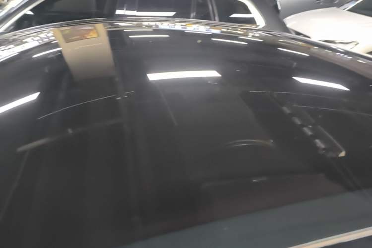 Used Tesla Model Y 2021 Standard Range Rear-Wheel Drive Version Roof