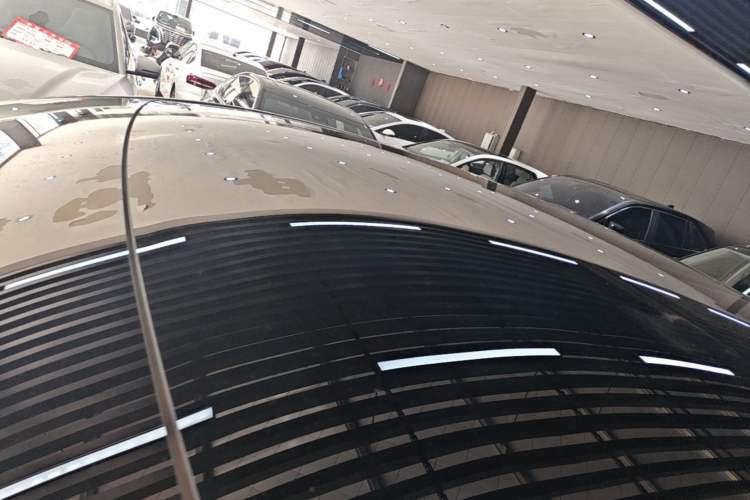 Used Tesla Model Y 2021 Standard Range Rear-Wheel Drive Version Roof