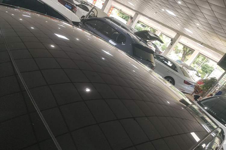 Used Tesla Model Y 2021 Standard Range Rear-Wheel Drive Version Roof