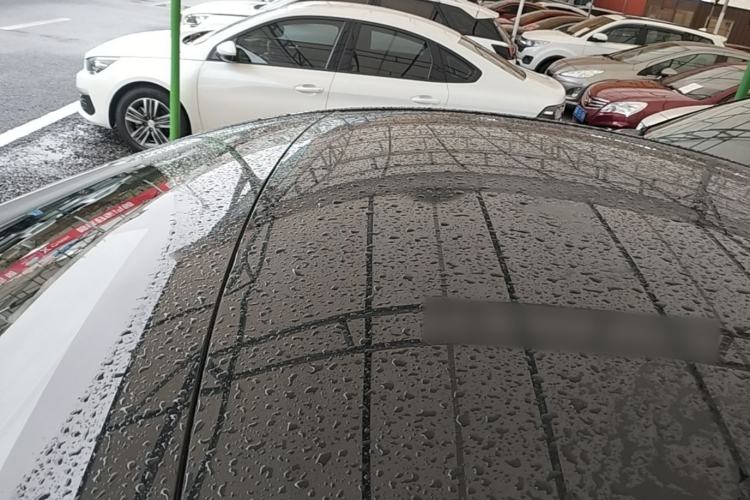 Used Tesla Model Y 2021 Standard Range Rear-Wheel Drive Version Roof