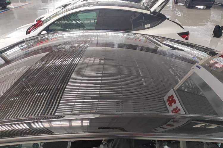 Used Tesla Model Y 2021 Standard Range Rear-Wheel Drive Version Roof
