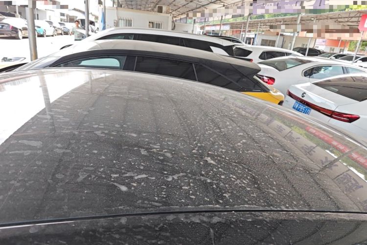 Used Tesla Model Y 2021 Standard Range Rear-Wheel Drive Version Roof