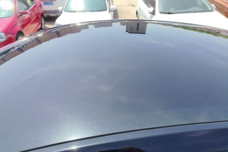 Used Tesla Model Y 2021 Standard Range Rear-Wheel Drive Version Roof