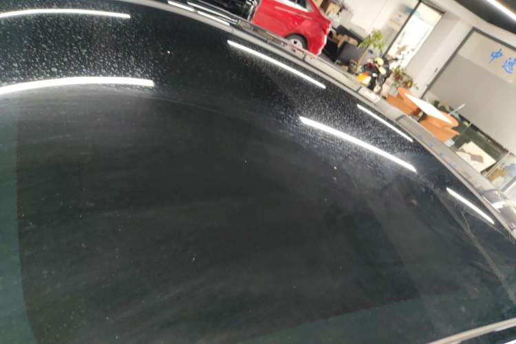 Used Tesla Model Y 2021 Standard Range Rear-Wheel Drive Version Roof