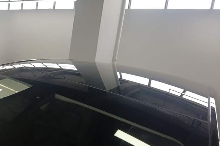 Used Tesla Model Y 2021 Standard Range Rear-Wheel Drive Version Roof