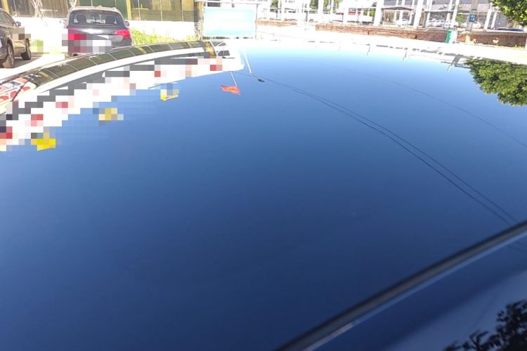 Used Tesla Model Y 2021 Standard Range Rear-Wheel Drive Version Roof