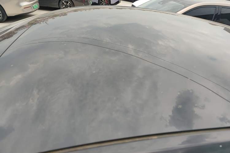 Used Tesla Model Y 2021 Standard Range Rear-Wheel Drive Version Roof