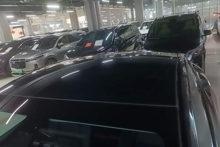 Used Tesla Model Y 2021 Standard Range Rear-Wheel Drive Version Roof
