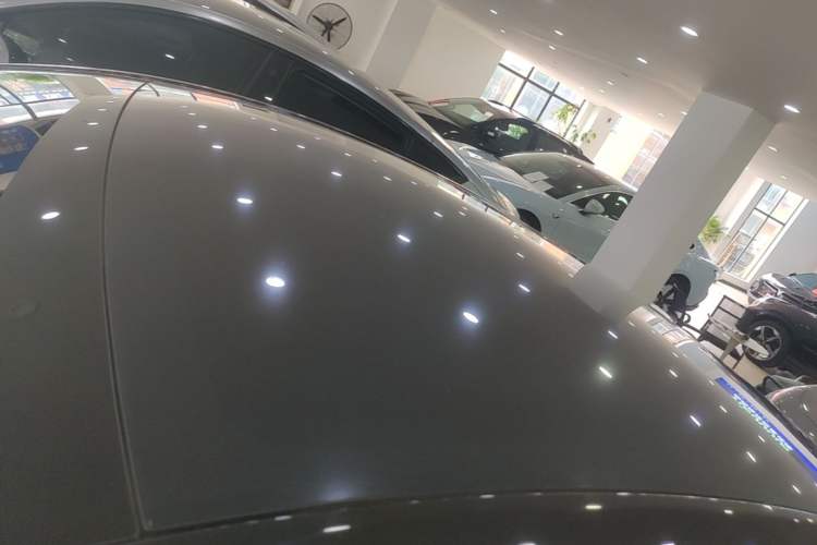 Used Tesla Model Y 2021 Standard Range Rear-Wheel Drive Version Roof