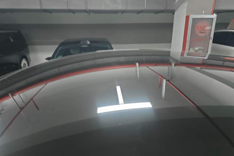 Used Tesla Model Y 2021 Long-Range All-Wheel-Drive Version Roof