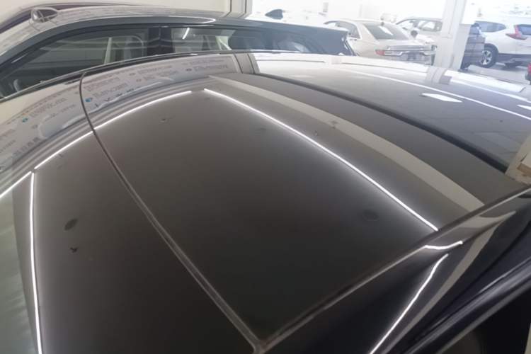 Used Tesla Model Y 2021 Standard Range Rear-Wheel Drive Version Roof