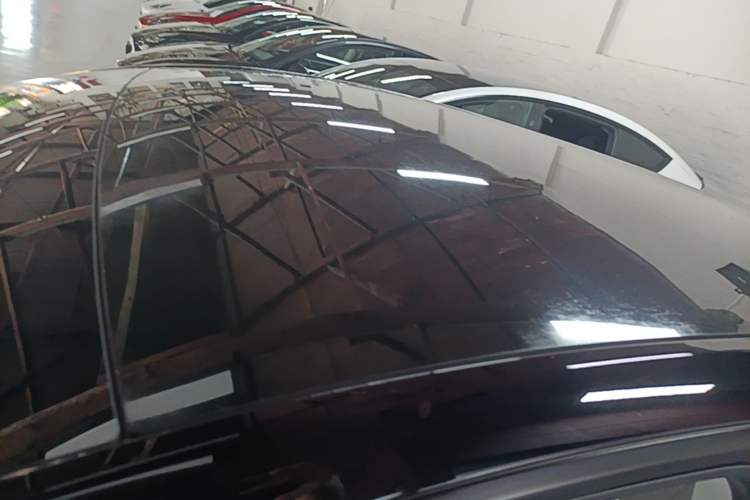 Used Tesla Model Y 2021 Standard Range Rear-Wheel Drive Version Roof