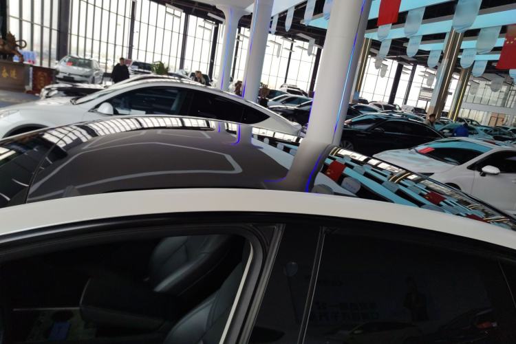 Used Tesla Model Y 2021 Standard Range Rear-Wheel Drive Version Roof