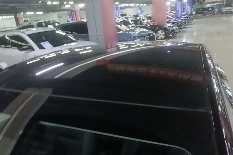 Used Tesla Model Y 2021 Standard Range Rear-Wheel Drive Version Roof
