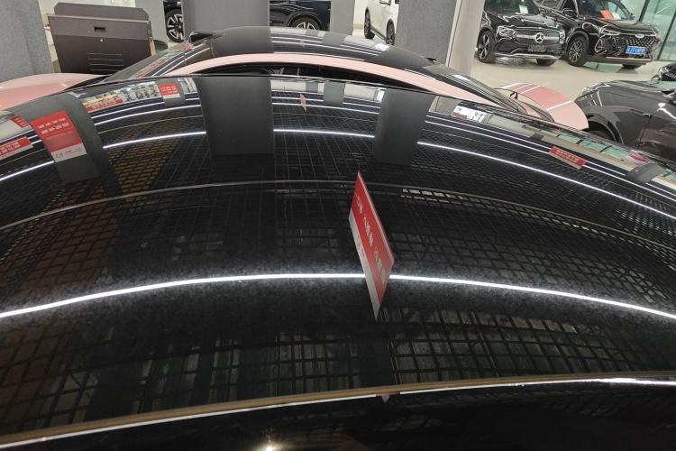 Used Tesla Model Y 2021 Standard Range Rear-Wheel Drive Version Roof